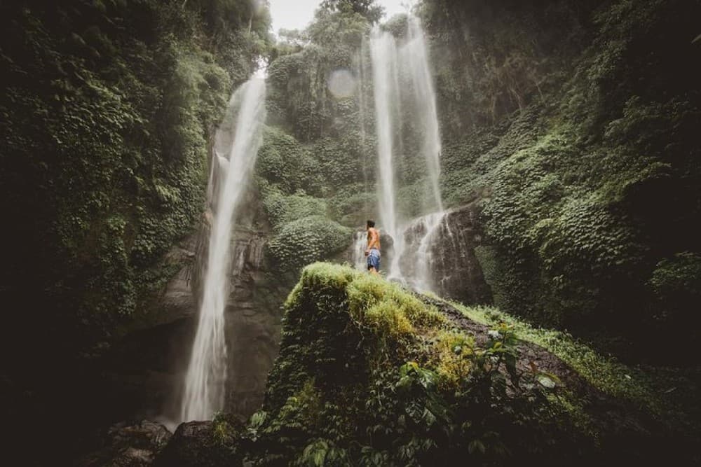Munduk: Banyu Wana and Sekumpul Waterfall Trekking Tour | ®ExcursionMania - Image 5