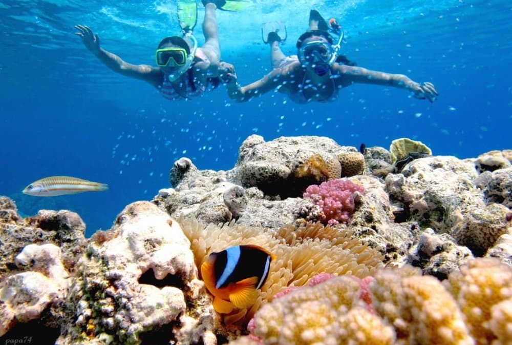 Sharm ElSheikh Port to Ras Mohamed National Park by Car | ®ExcursionMania - Image 8