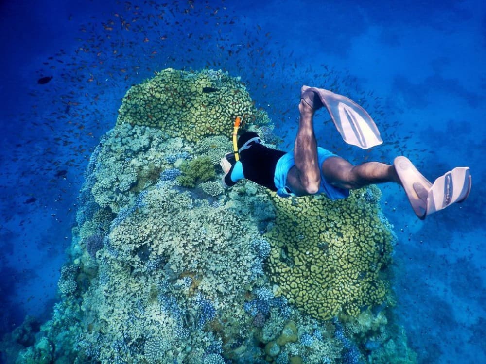 Sharm El Sheikh: Snorkeling Trip To Tiran Island With Lunch | ®ExcursionMania - Image 6