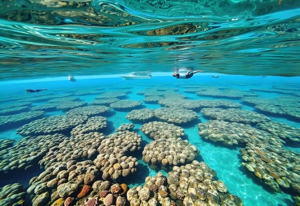 Sharm El Sheikh: Snorkeling Trip To Tiran Island With Lunch | ®ExcursionMania - Image 7