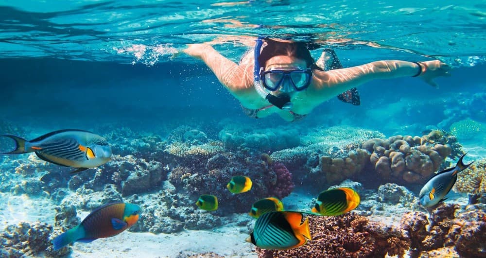 Sharm El Sheikh: Snorkeling Trip To Tiran Island With Lunch | ®ExcursionMania - Image 8