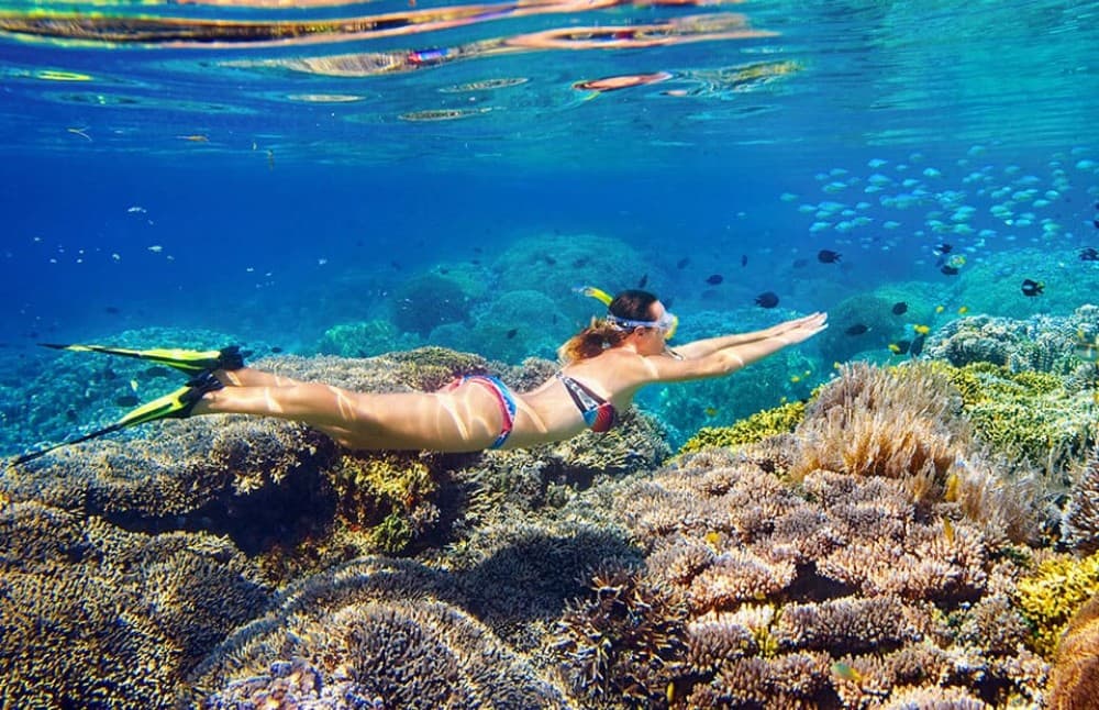 Sharm El Sheikh: Snorkeling Trip To Tiran Island With Lunch | ®ExcursionMania - Image 9