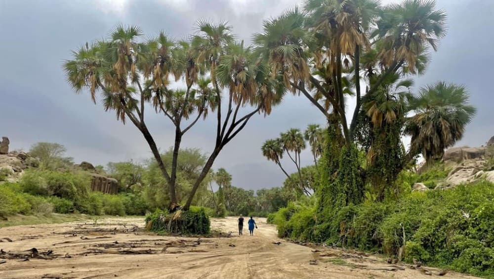 Saudi Arabia: Rich Heritage of Jazan Day Trip | ®ExcursionMania - Image 6