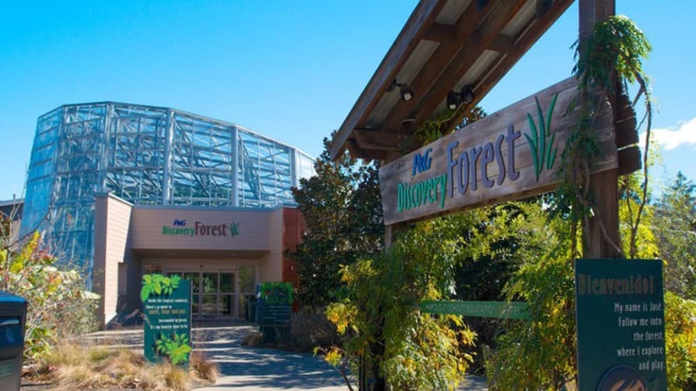 Aswan: Private Nile Boat Cruise and Botanical Garden Visit | ®ExcursionMania - Image 4