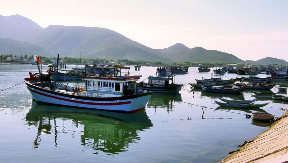Aswan: Private Nile Boat Cruise and Botanical Garden Visit | ®ExcursionMania - Image 6