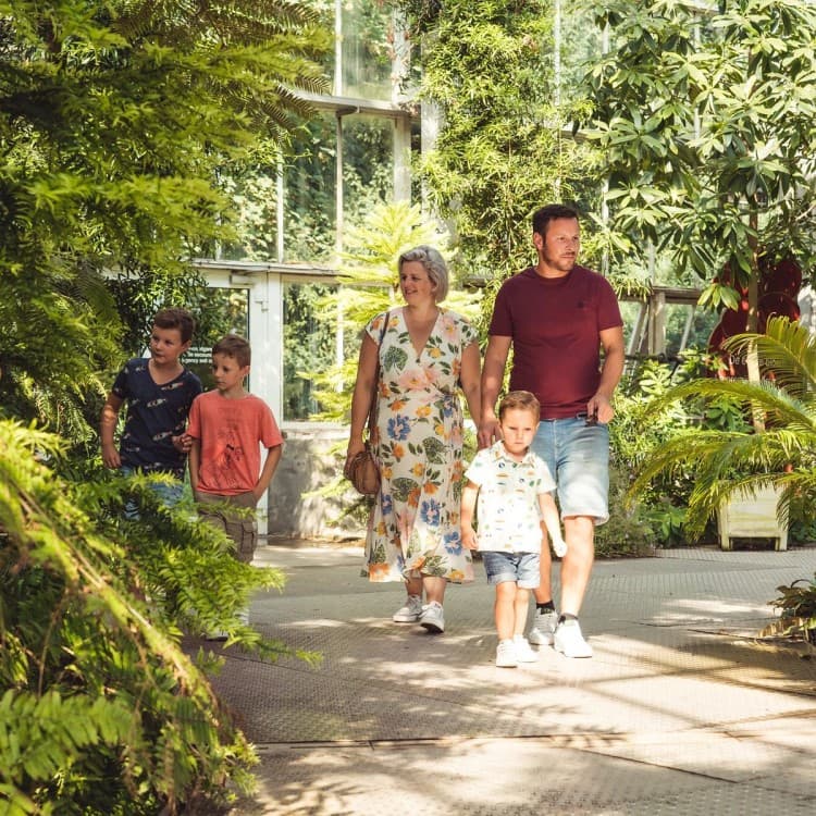 Aswan: Private Nile Boat Cruise and Botanical Garden Visit | ®ExcursionMania - Image 8