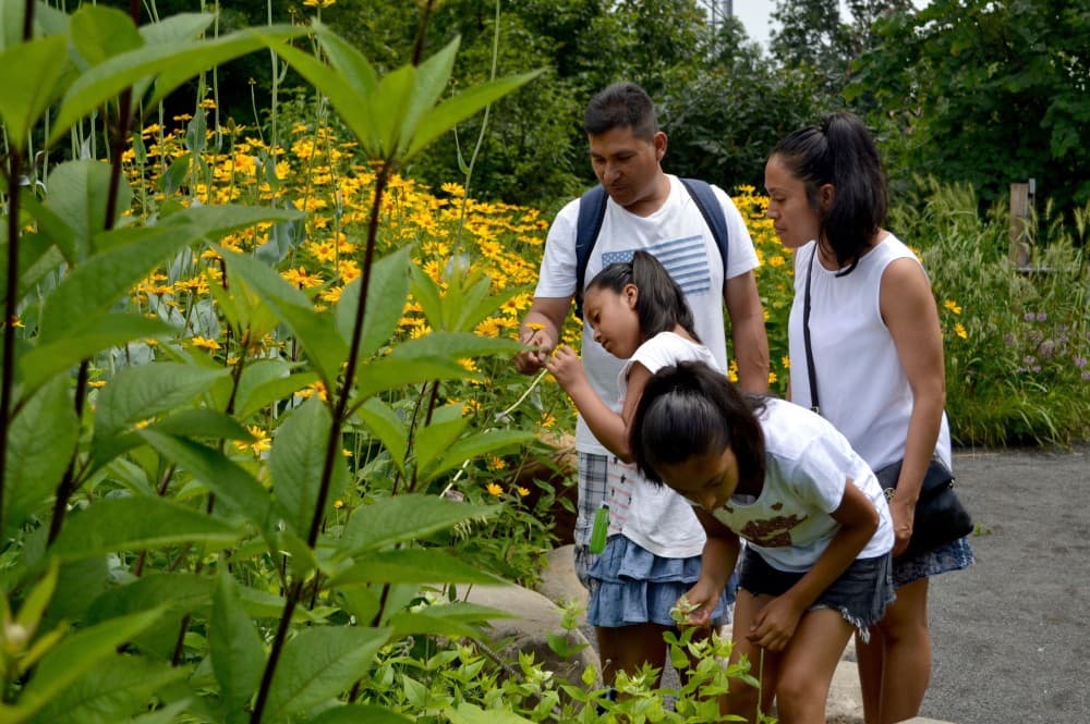 Aswan: Private Nile Boat Cruise and Botanical Garden Visit | ®ExcursionMania - Image 10