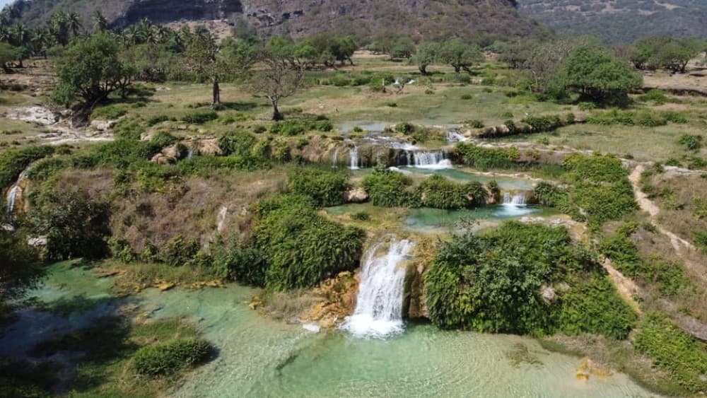 East Salalah Adventure: Nature History and Scenic Views | ®ExcursionMania - Image 4