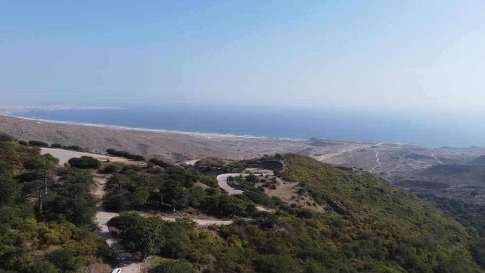 East Salalah Adventure: Nature History and Scenic Views | ®ExcursionMania - Image 6