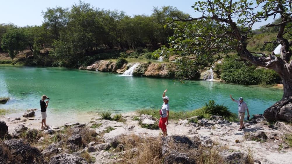 East Salalah Adventure: Nature History and Scenic Views | ®ExcursionMania - Image 8