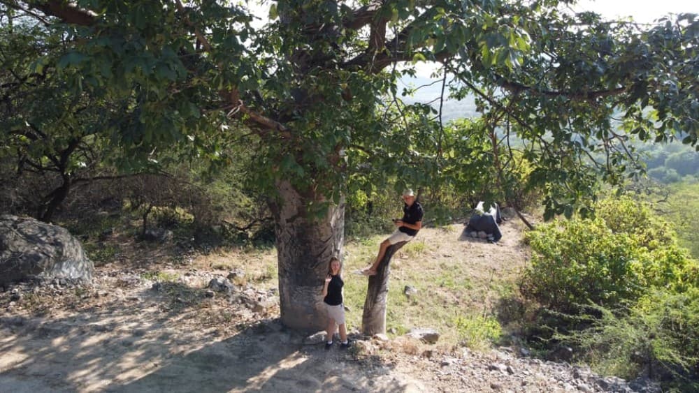 East Salalah Adventure: Nature History and Scenic Views | ®ExcursionMania - Image 10