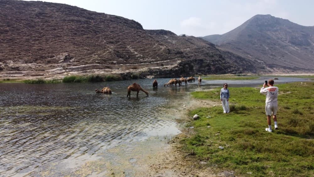 West Salalah Highlights: Coastal Wonders  Scenic Views | ®ExcursionMania - Image 1
