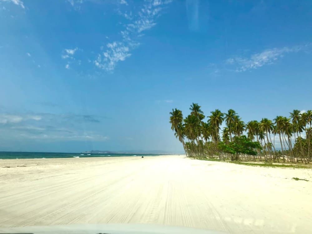 Salalah City Tour: Discover the Best of Omans Coastal Gem | ®ExcursionMania - Image 2