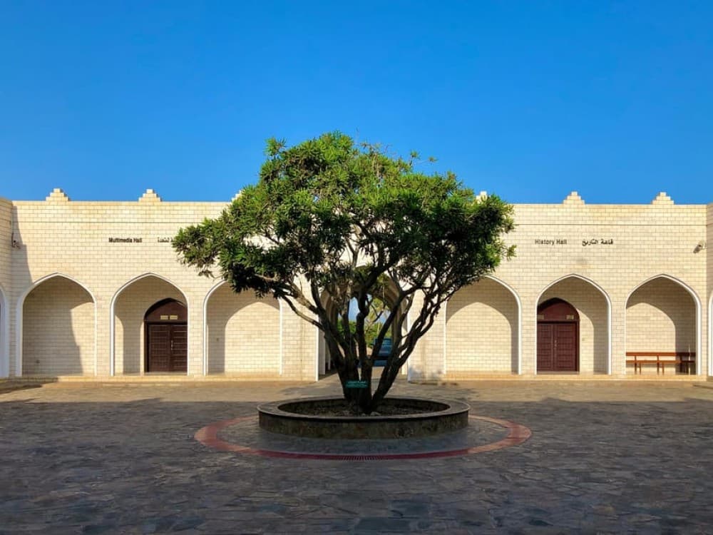 Salalah City Tour: Discover the Best of Omans Coastal Gem | ®ExcursionMania - Image 9