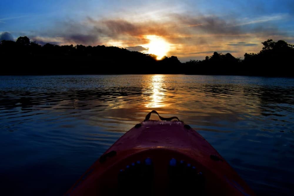 Cairo: Egyptian Museum  Kayaking On The River Nile Tour | ®ExcursionMania - Image 1