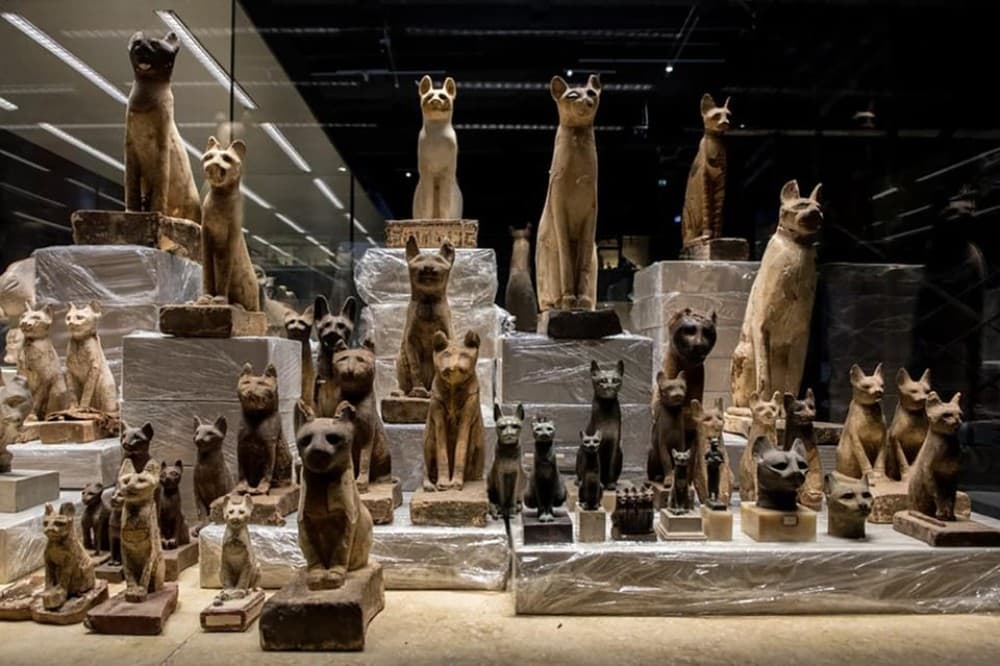 Sharm elSheikh Museum Entry Ticket  Private Hotel Transfer | ®ExcursionMania - Image 4