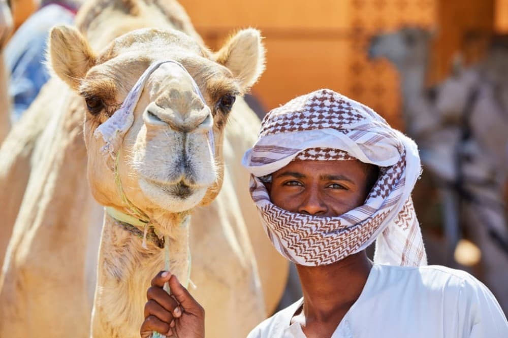 Dubai: Al Ain Oasis, Camel Market, Old Museum & Jebel Hafeet | ®ExcursionMania - Image 11
