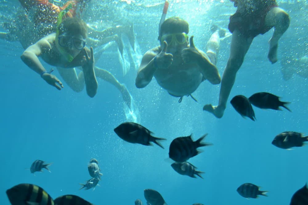 Hurghada: Glass Boat & Snorkeling with Optional Parasailing | ®ExcursionMania - Image 8