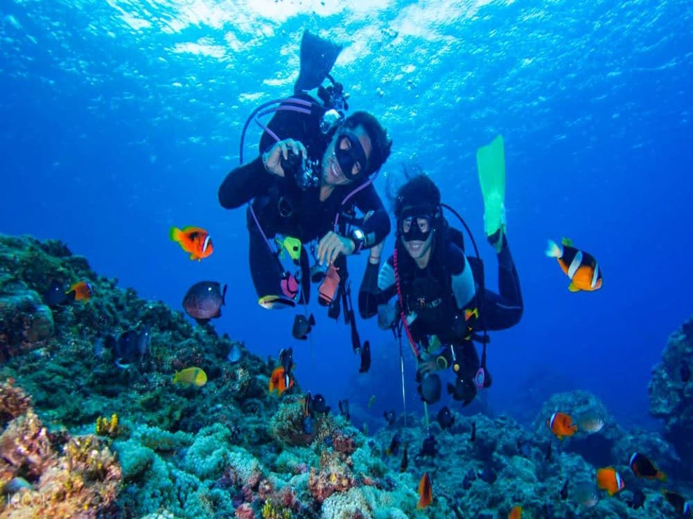 Bodrum Diving Tour With Hotel Transfer | ®ExcursionMania - Image 2