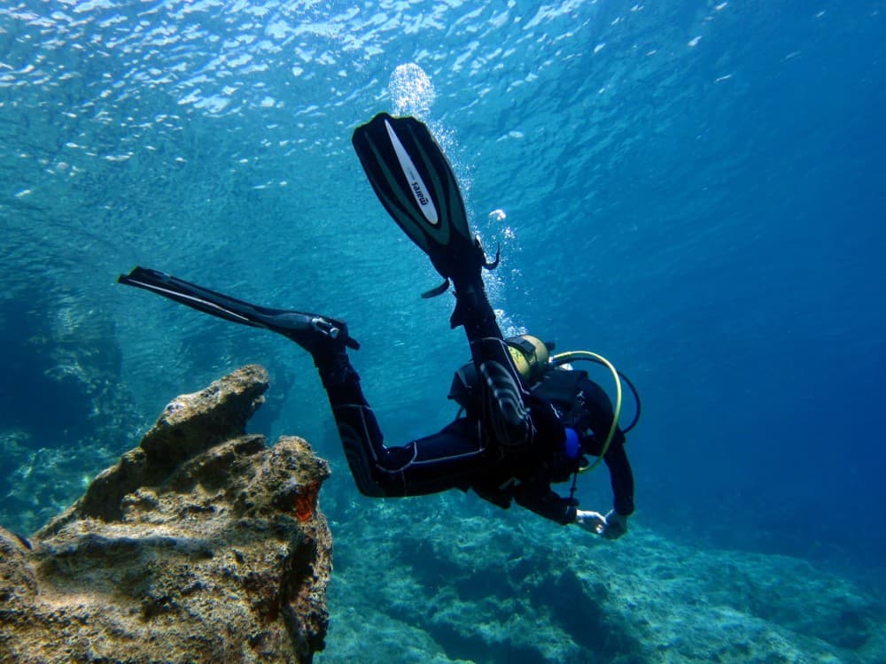 Bodrum Diving Tour With Hotel Transfer | ®ExcursionMania - Image 4