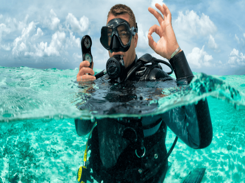 Bodrum Diving Tour With Hotel Transfer | ®ExcursionMania - Image 5