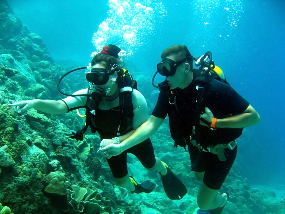 Bodrum Diving Tour With Hotel Transfer | ®ExcursionMania - Image 7