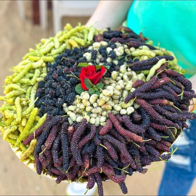 Cairo: Oriental Breakfast Fatir or Lunch in Arabian Village | ®ExcursionMania - Image 2