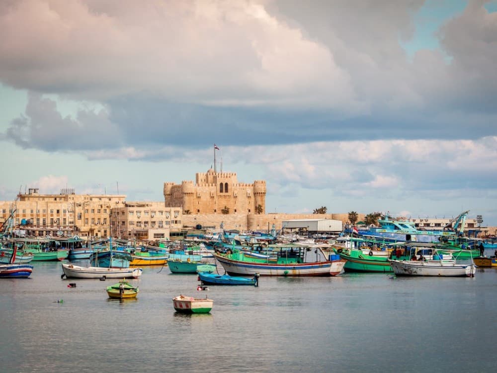 Private Customizable Day Tour to Alexandria from Cairo | ®ExcursionMania - Image 8