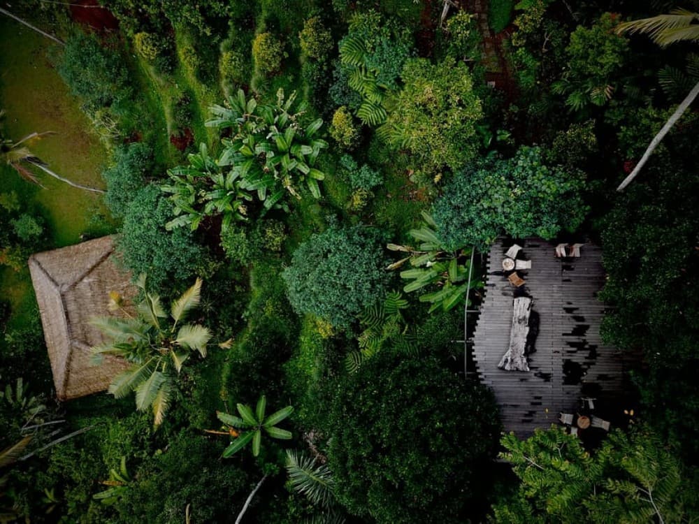 Ubud: Jungle Club, Waterfall, Market, and Tanah Lot Tour | ®ExcursionMania - Image 5