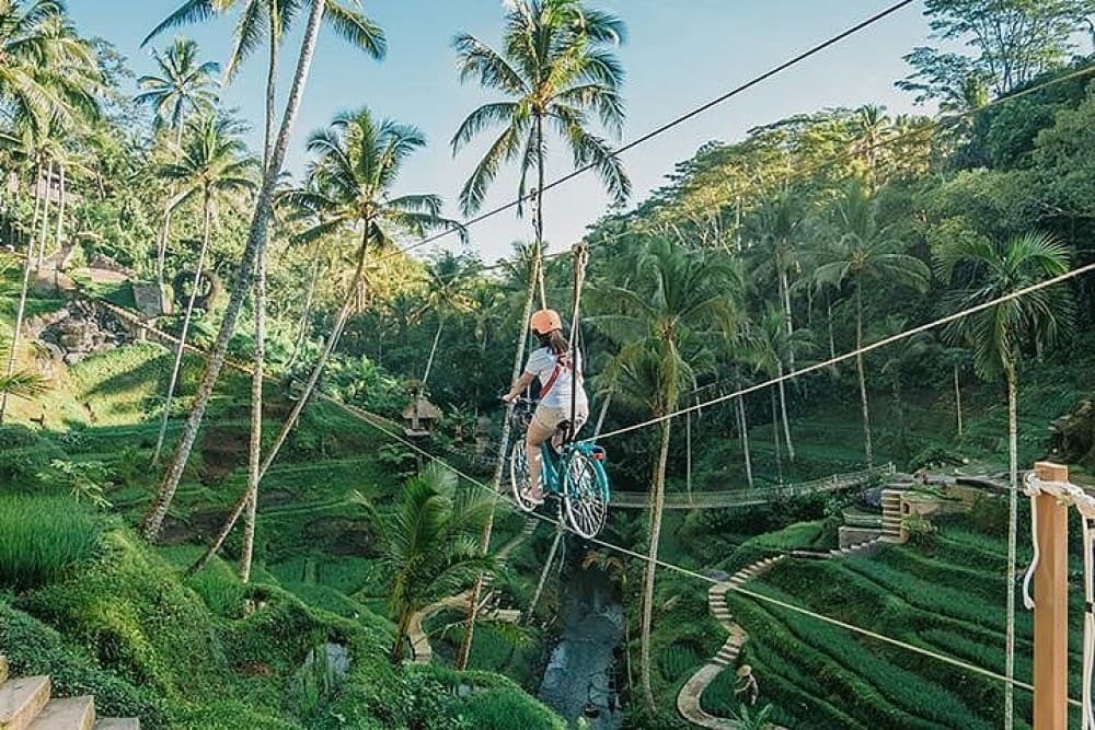 Ubud: Sky Bike Adventure, Swing & Rice Terrace with Transfer | ®ExcursionMania - Image 6