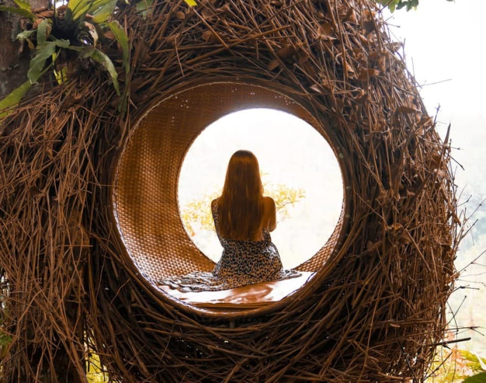 Ubud: Sky Bike Adventure, Swing & Rice Terrace with Transfer | ®ExcursionMania - Image 7