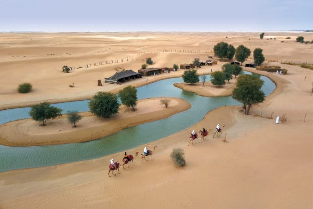 Dubai: Al Marmoom Oasis Arabian Setup, Camels, & VIP Dinner | ®ExcursionMania - Image 5