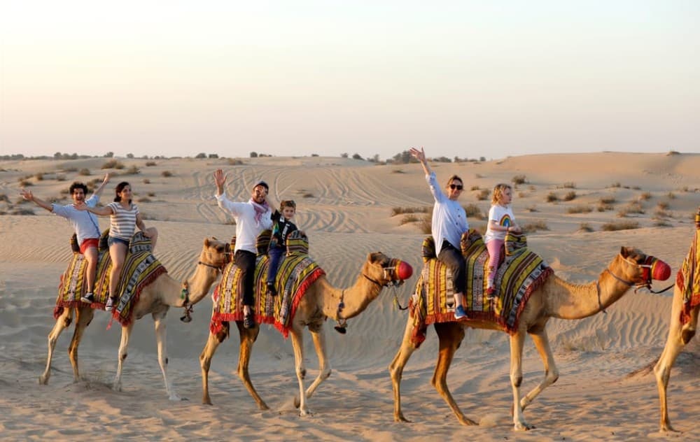 Dubai: Al Marmoom Oasis Arabian Setup, Camels, & VIP Dinner | ®ExcursionMania - Image 6