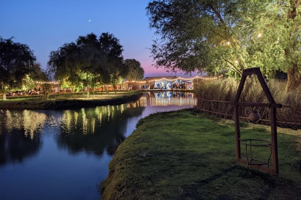 Dubai: Al Marmoom Oasis Arabian Setup, Camels, & VIP Dinner | ®ExcursionMania - Image 2