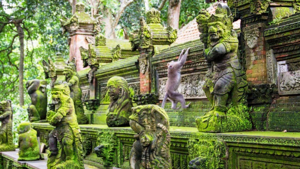 Ubud: Tjampuhan Ridge, Monkey Forest & Art Market Photo Tour | ®ExcursionMania - Image 11
