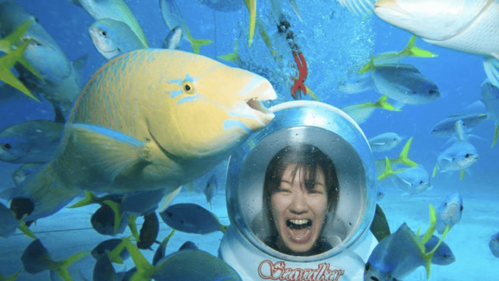 Bali: Underwater Sea Walk, Uluwatu Temple, and Kecak Dance | ®ExcursionMania - Image 4