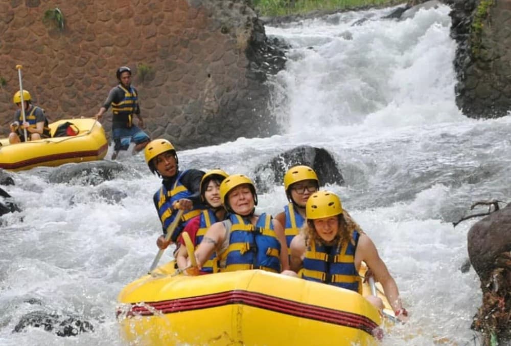 Bali: Telaga Waja River Rafting Small-Group Tour with Lunch | ®ExcursionMania - Image 6