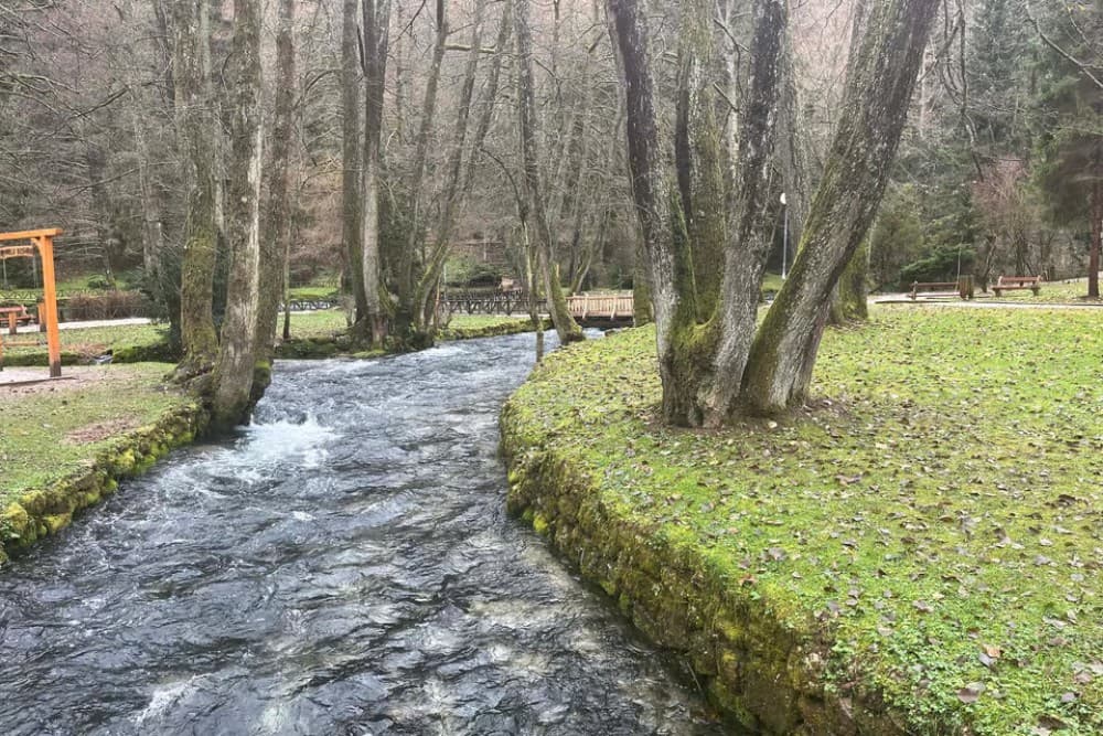 Sarajevo Winter Olympics 1984: Three Mountains and Museum | ®ExcursionMania - Image 8