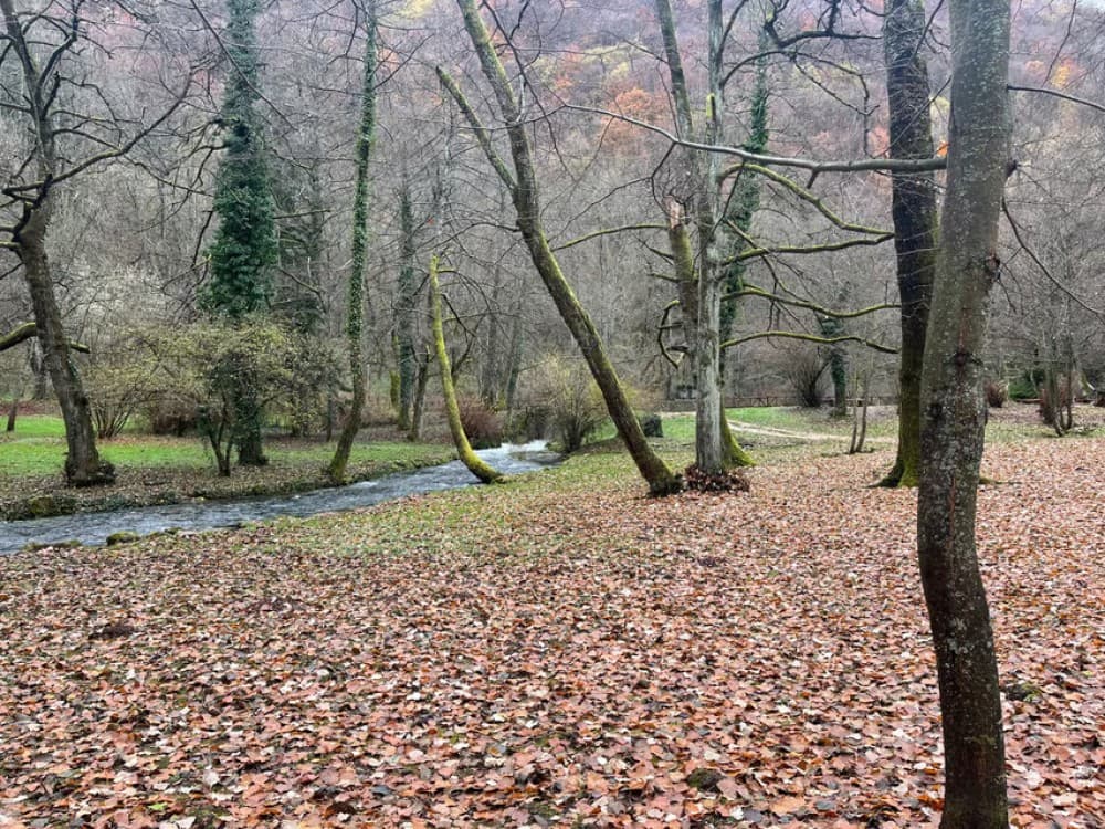 Sarajevo Winter Olympics 1984: Three Mountains and Museum | ®ExcursionMania - Image 10