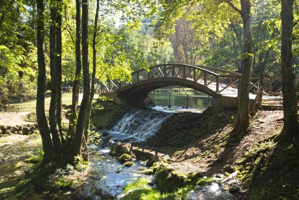 Sarajevo Winter Olympics 1984: Three Mountains and Museum | ®ExcursionMania - Image 11