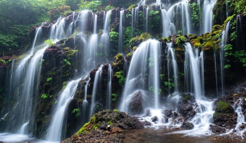 Munduk: Banyu Wana and Sekumpul Waterfall Trekking Tour | ®ExcursionMania - Image 1
