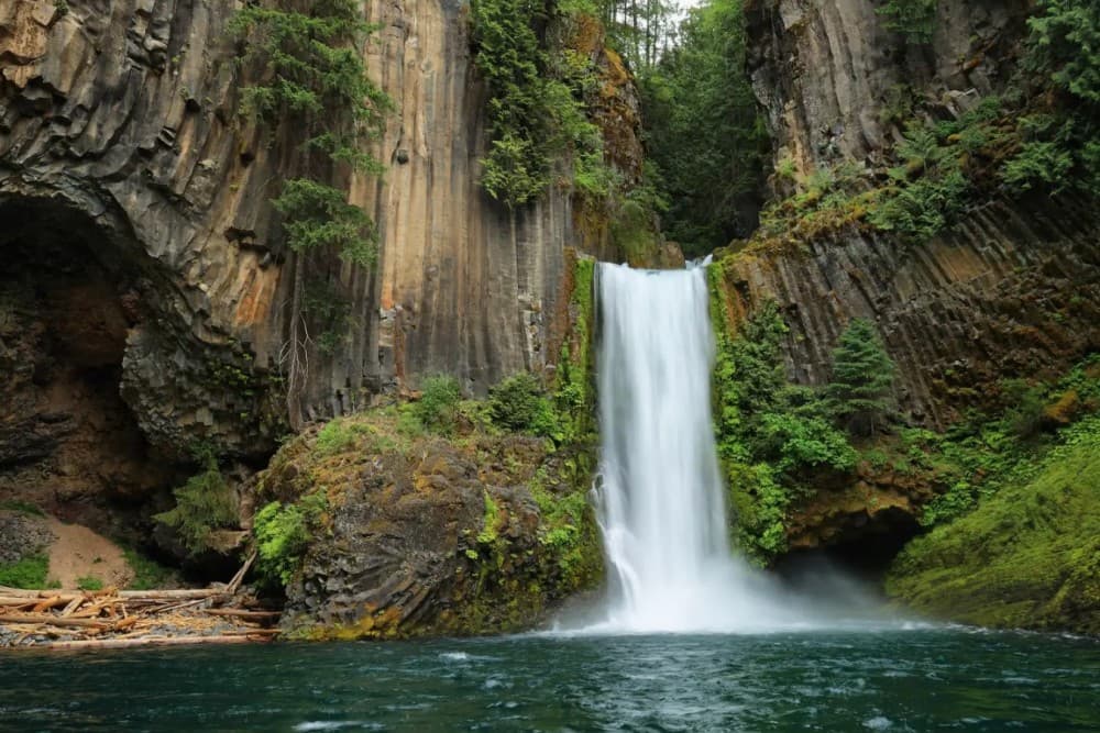 Munduk: Banyu Wana and Sekumpul Waterfall Trekking Tour | ®ExcursionMania - Image 6