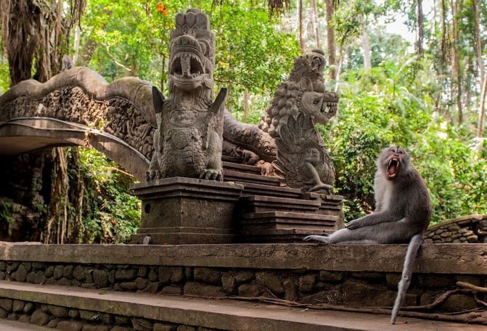 Bali: Kanto Lampo Waterfall, Swing & Monkey Forest Day-Trip | ®ExcursionMania - Image 8