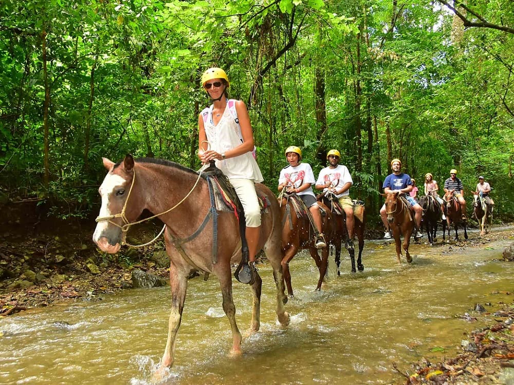 Bodrum Horse Riding With Hotel Transfer | ®ExcursionMania - Image 2