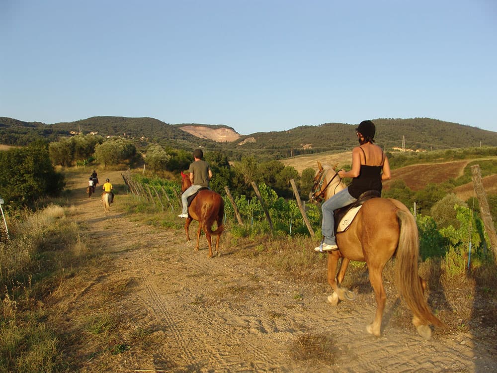 Bodrum Horse Riding With Hotel Transfer | ®ExcursionMania - Image 5