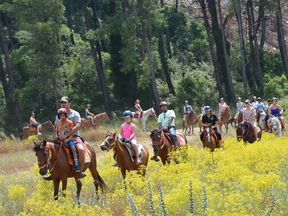 Bodrum Horse Riding With Hotel Transfer | ®ExcursionMania - Image 6