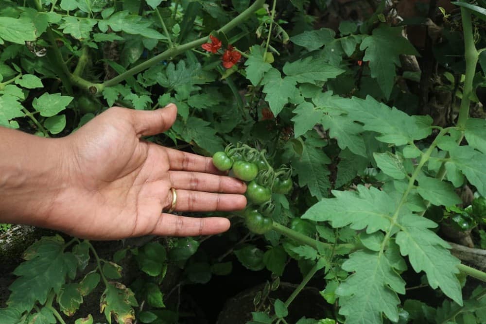 Pengelipuran Village: Be a Balinese For a Day Private Tour | ®ExcursionMania - Image 10