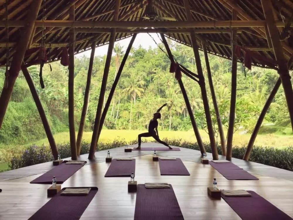 Bali: Soul Retreat and Aura Cleansing Experience | ®ExcursionMania - Image 6