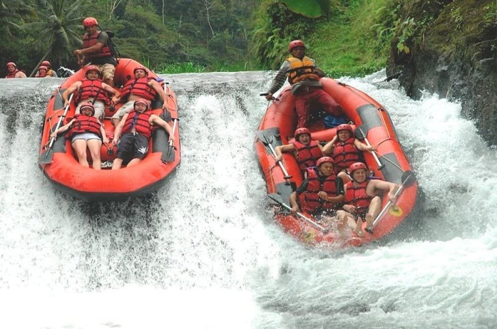 Bali: Ayung River Rafting & Jungle Swing Tour With Transfer | ®ExcursionMania - Image 2