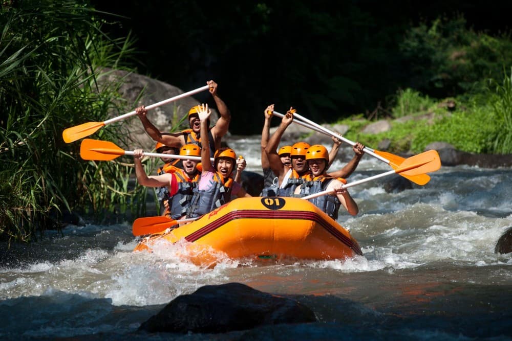 Bali: Ayung River Rafting & Jungle Swing Tour With Transfer | ®ExcursionMania - Image 3